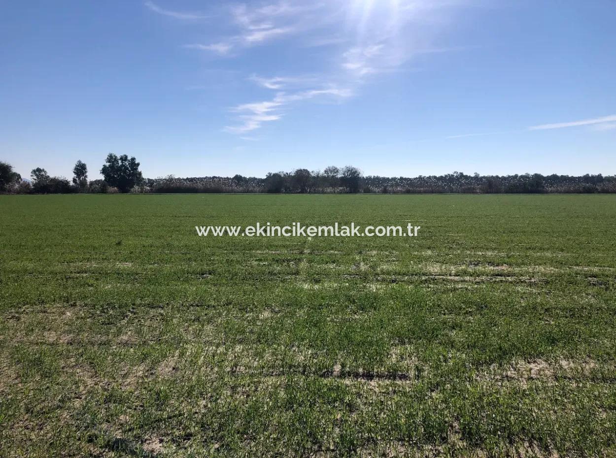 Land For Sale In Sarıgermede 30,000M2 Land For Sale With Sea View