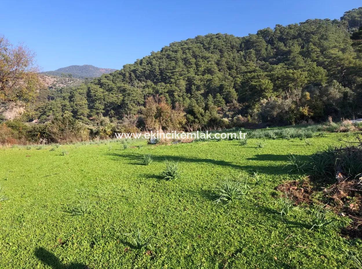 Ekincik Land For Sale 10,038M2 Land For Sale Field