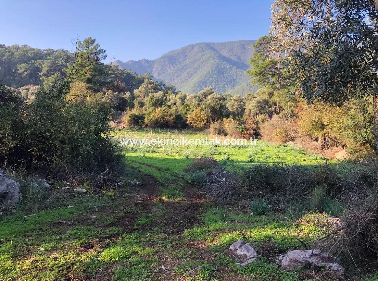 Ekincik Land For Sale 10,038M2 Land For Sale Field