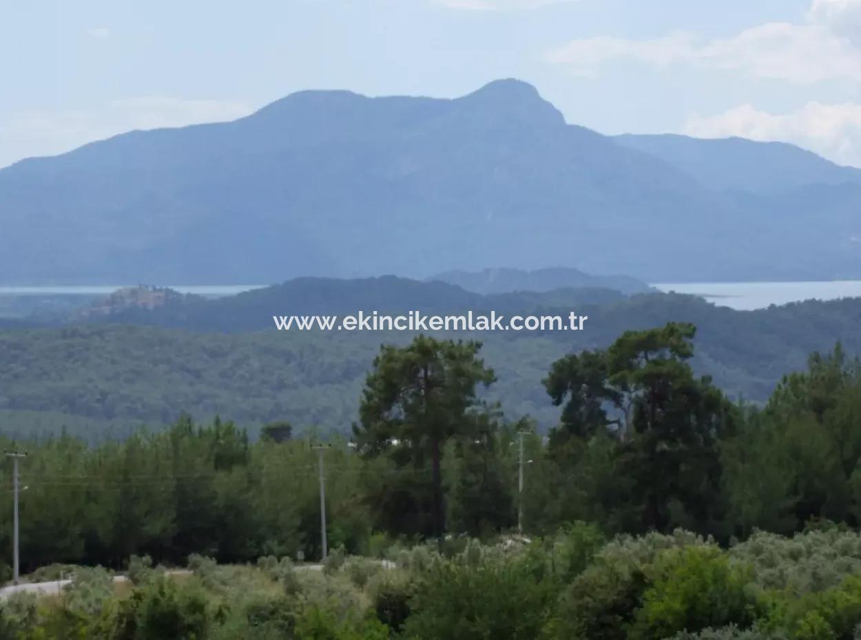 Luxury Villa For Sale In Zeytinalanda Köyceğinz Zeytınalanda 6800M2 Land Villa For Sale With Full Lake View