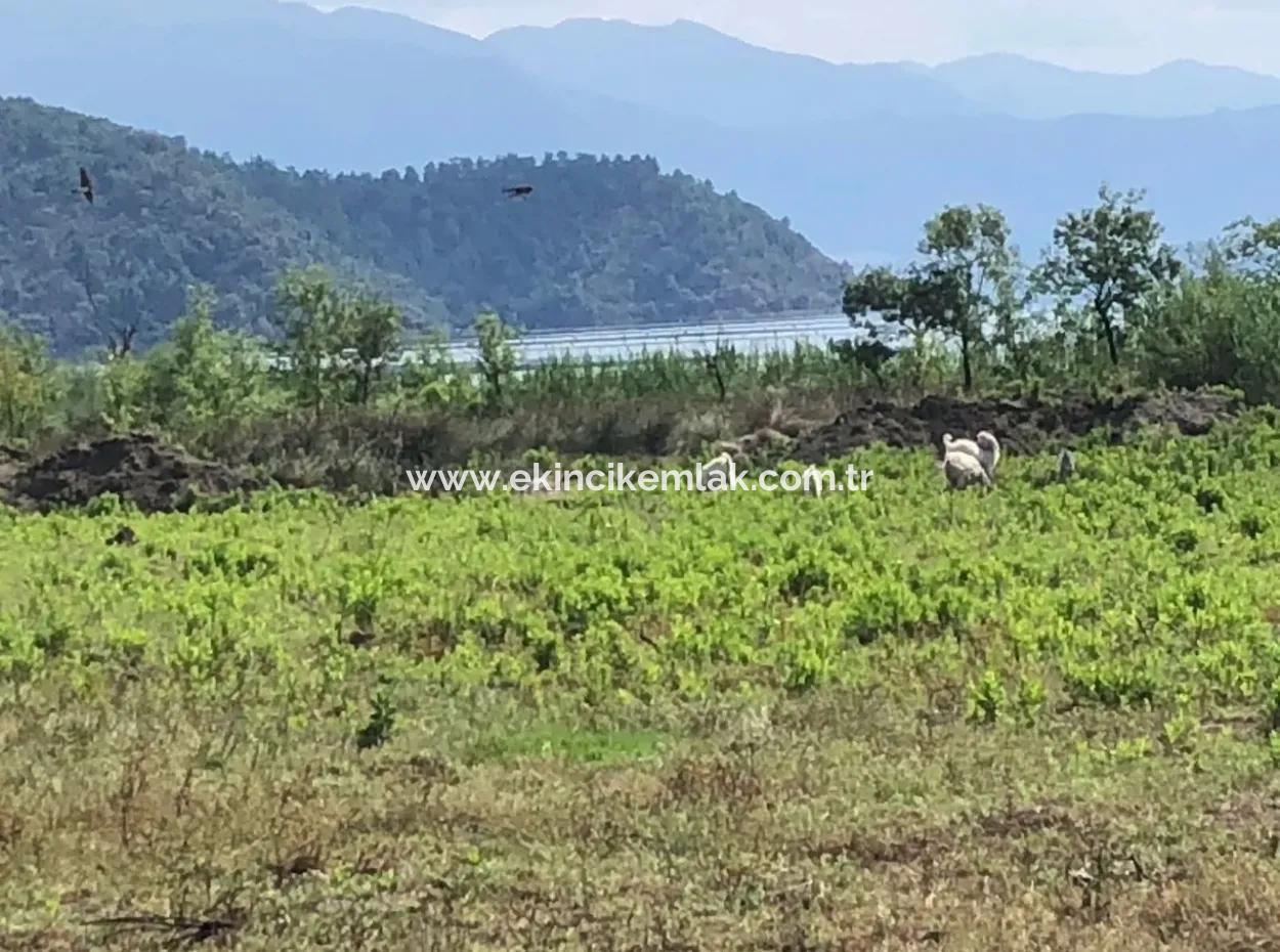 Sultaniye Sultaniye Koycegiz Lake Plot For Sale For Sale In By The Sea
