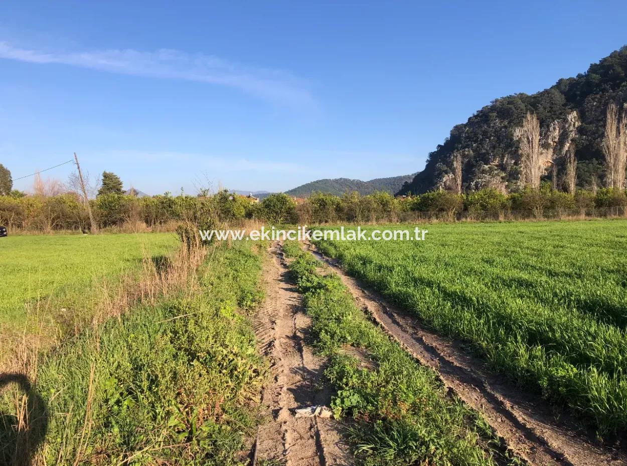 Land For Sale Marmarli 1500M2 Land For Sale