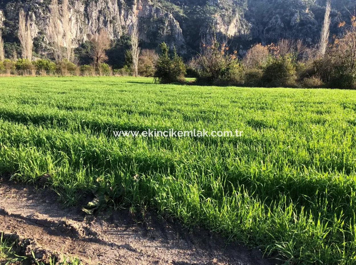 Land For Sale Marmarli 1500M2 Land For Sale