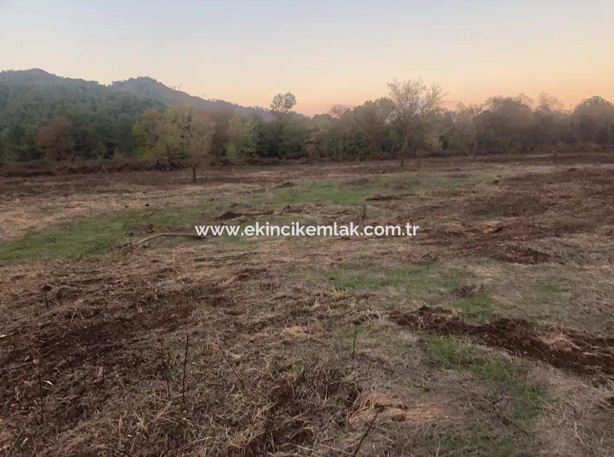 Sultaniye Land For Sale Near 10577M2 Lake Land For Sale