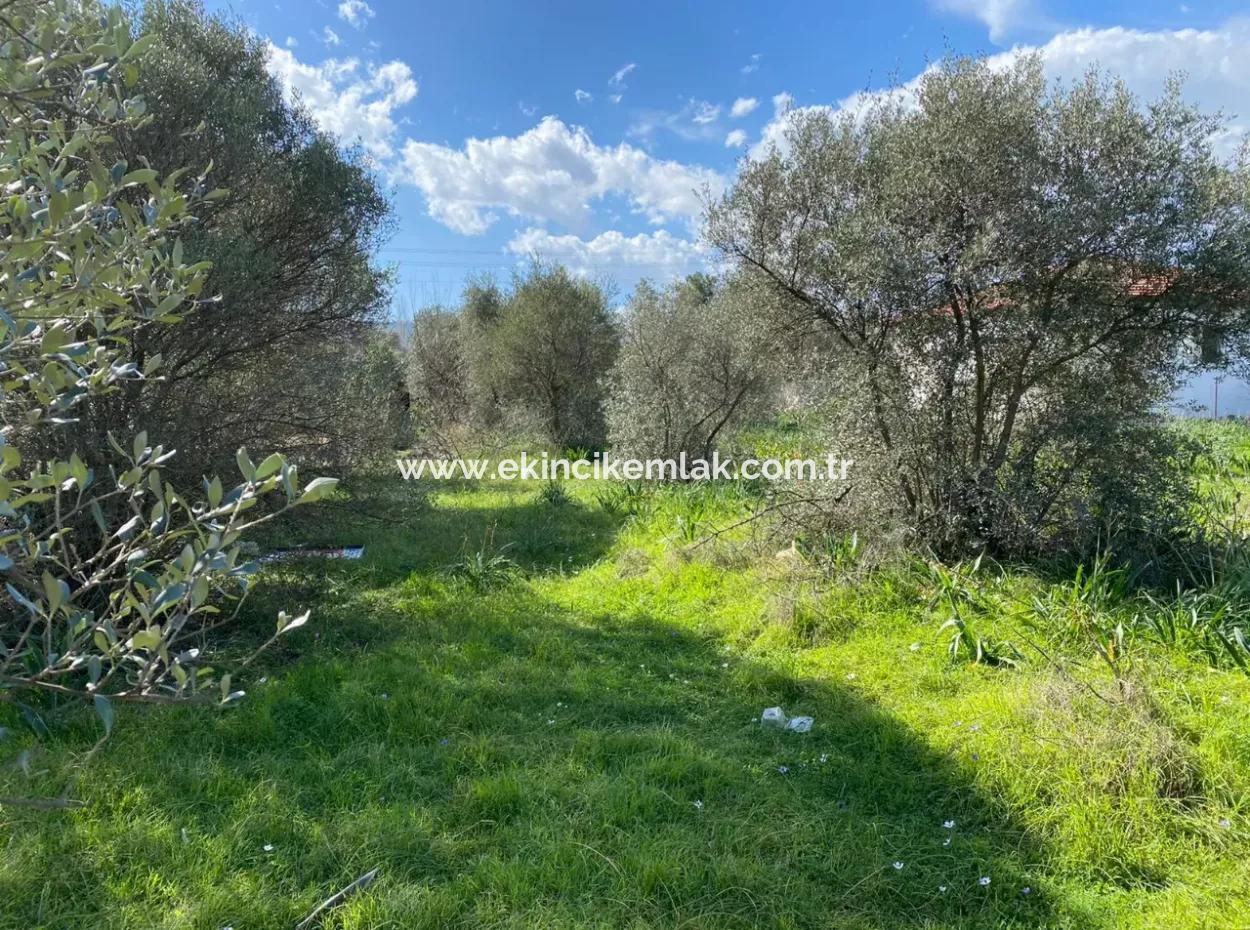 401M2 Land For Sale In Ortaca Cumhuriyet Neighborhood