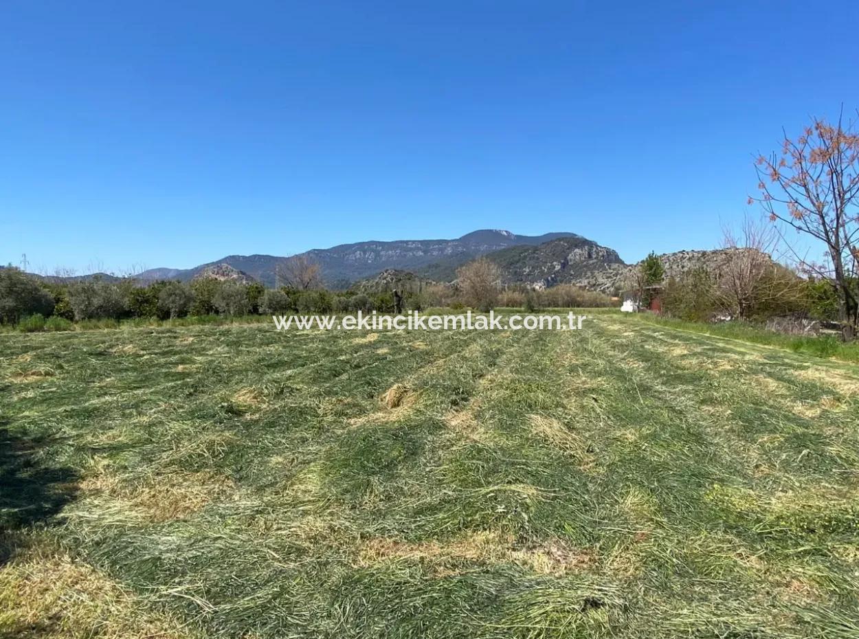 3700M2 Land For Sale In Dalyan