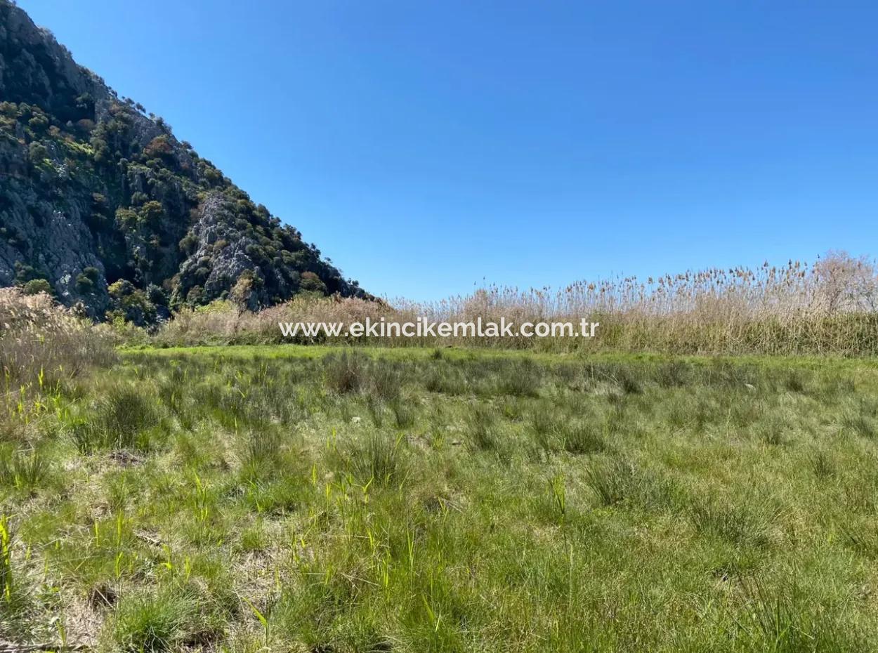 9310M2 Land For Sale In Dalyan