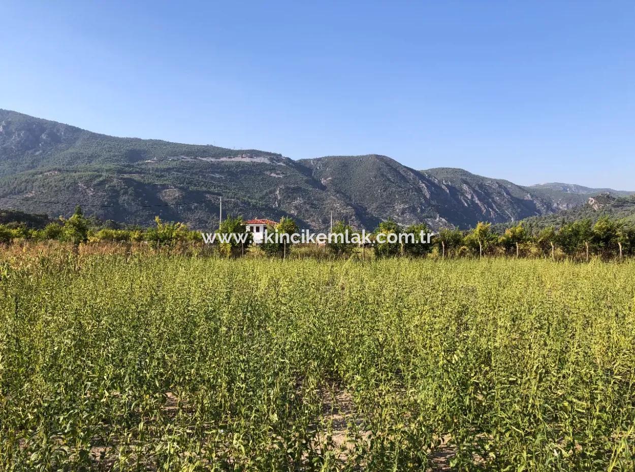 For Sale In Akçapinar 100 Acres For Sale