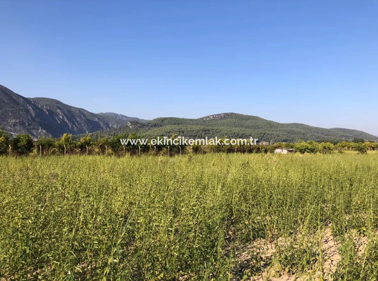 For Sale In Akçapinar 100 Acres For Sale