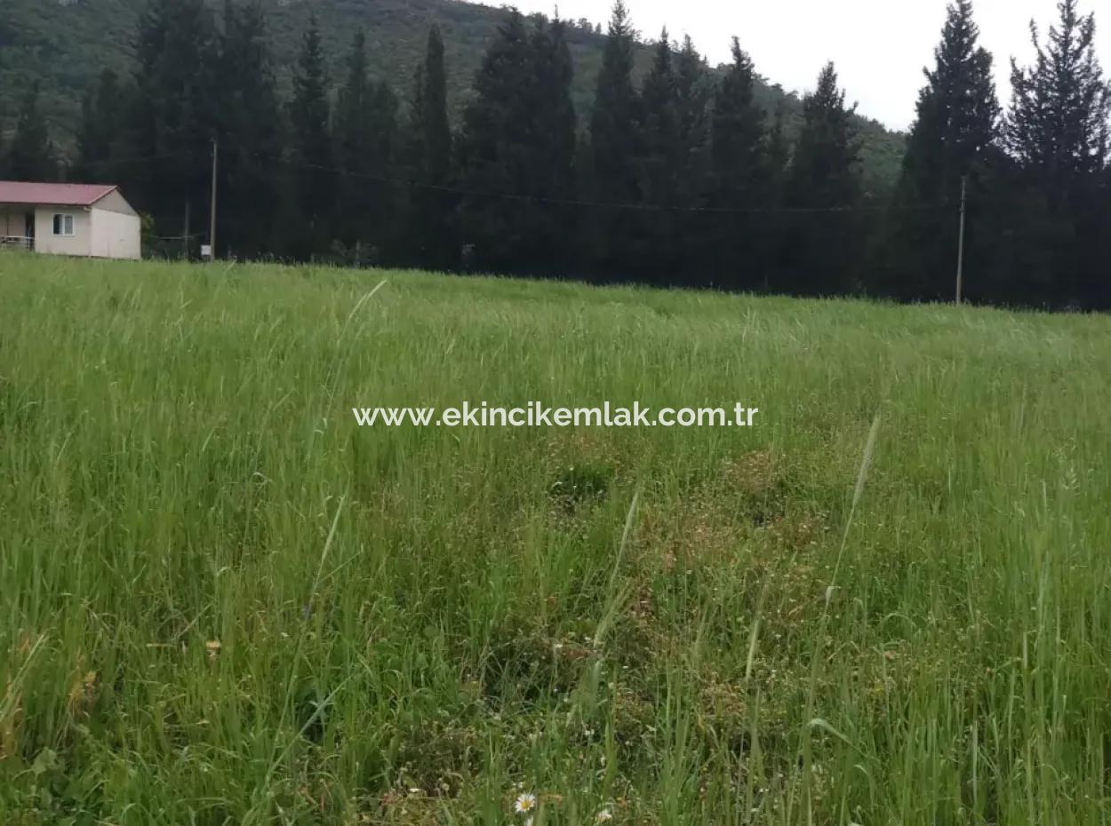 Land For Sale In Çamlida