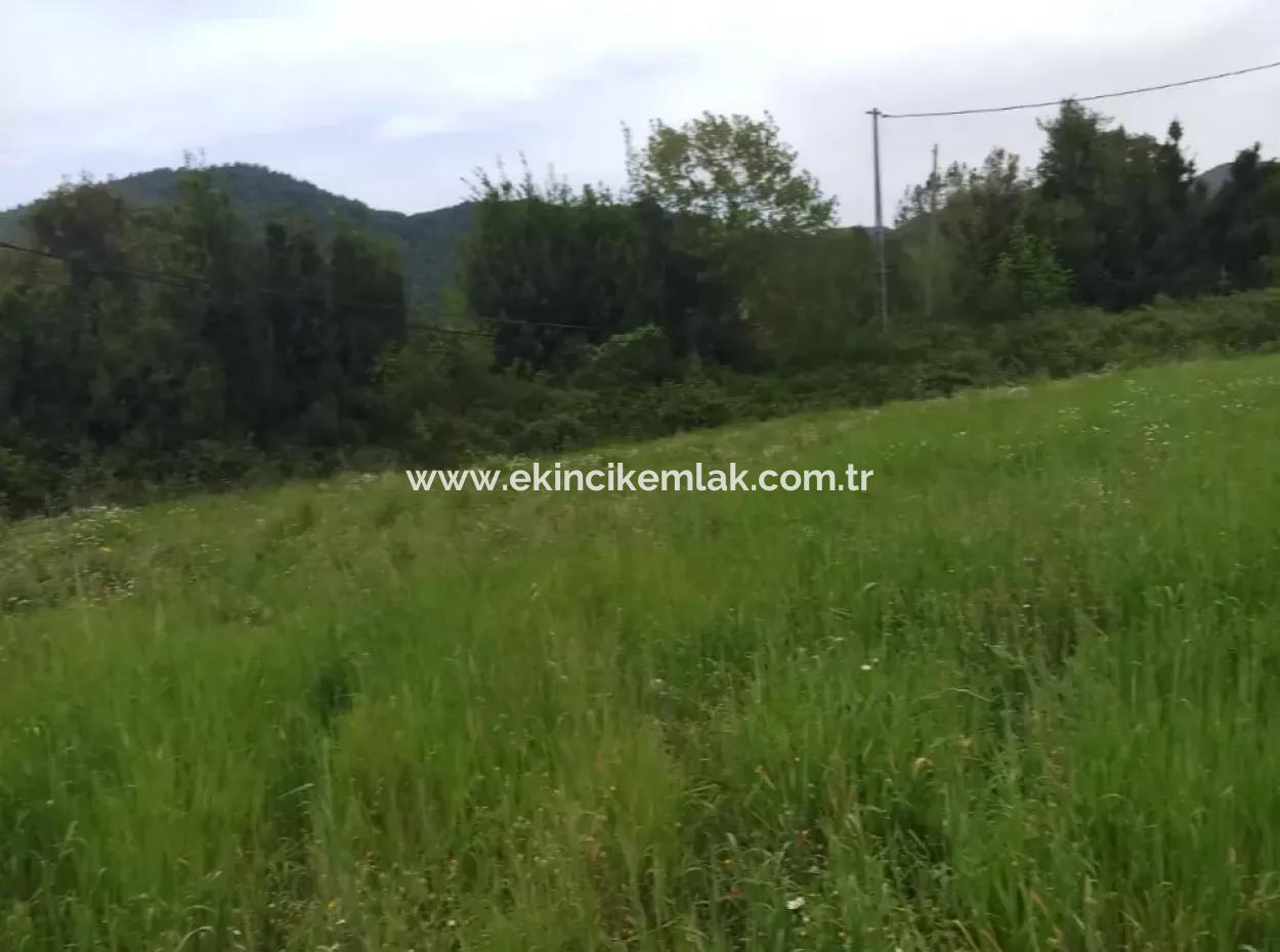 Land For Sale In Çamlida