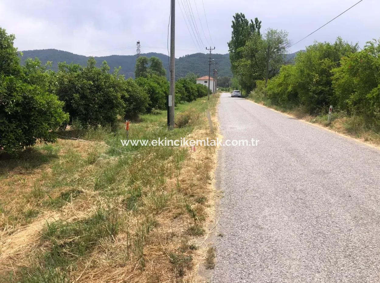 Land For Sale In Sourliyurtda 1085M2