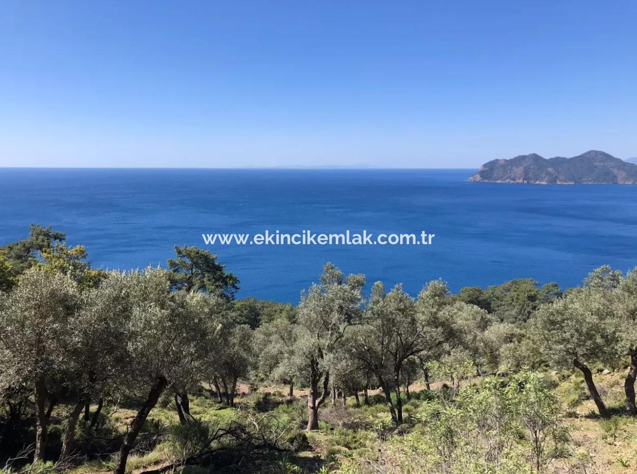 Land For Sale With Sea View In Çandir