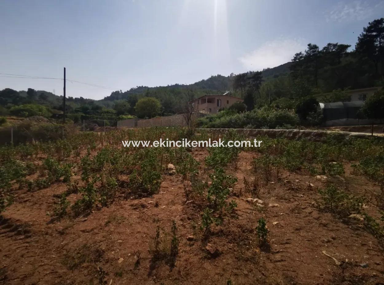 1245M2  Land For Sale In Marmaris Çamlı
