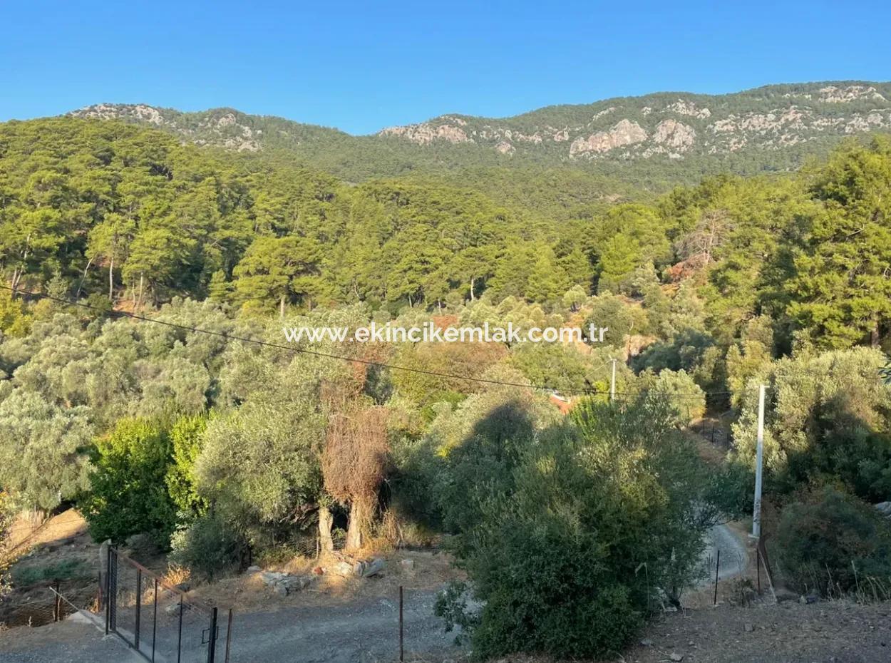 Çandir 3,800M2 Land For Sale