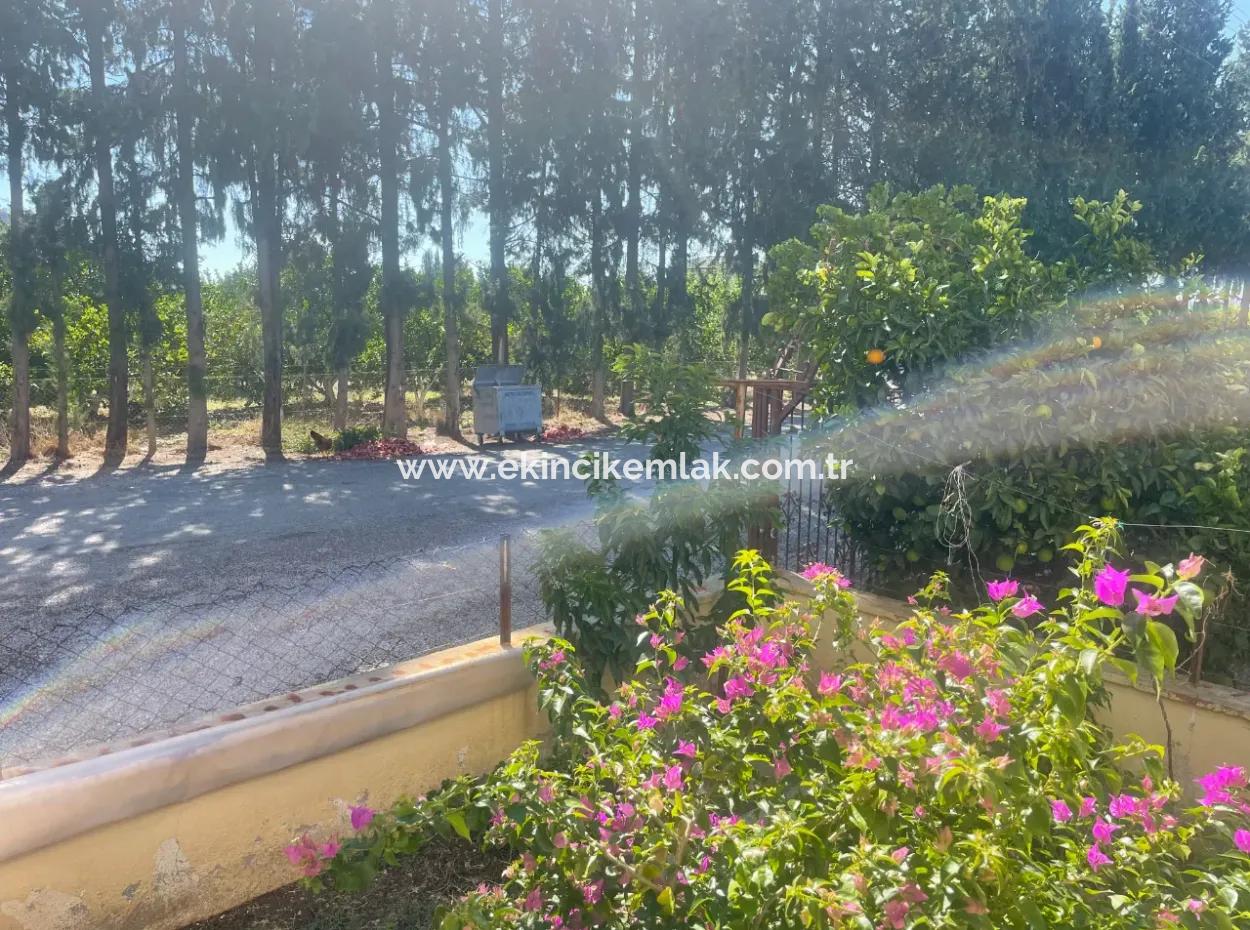 4-Storey Apartment For Sale In Ortaca Çaylı