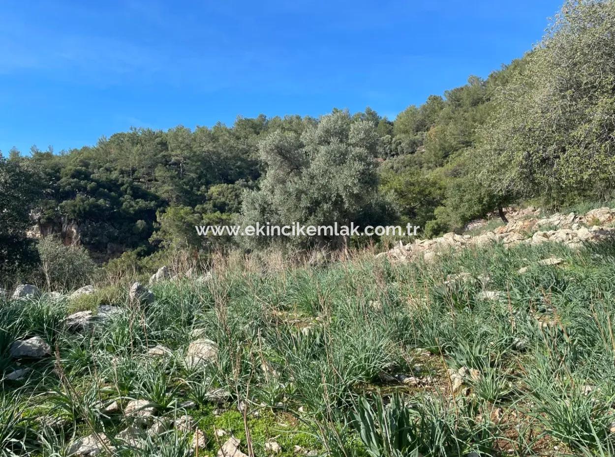 8,900M2 Field For Sale With Full Sea View In Ekincik