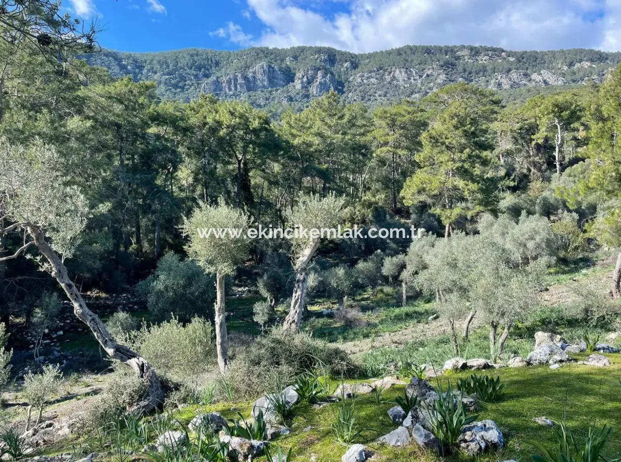 4000M2  For Sale With Lake View In Çandir