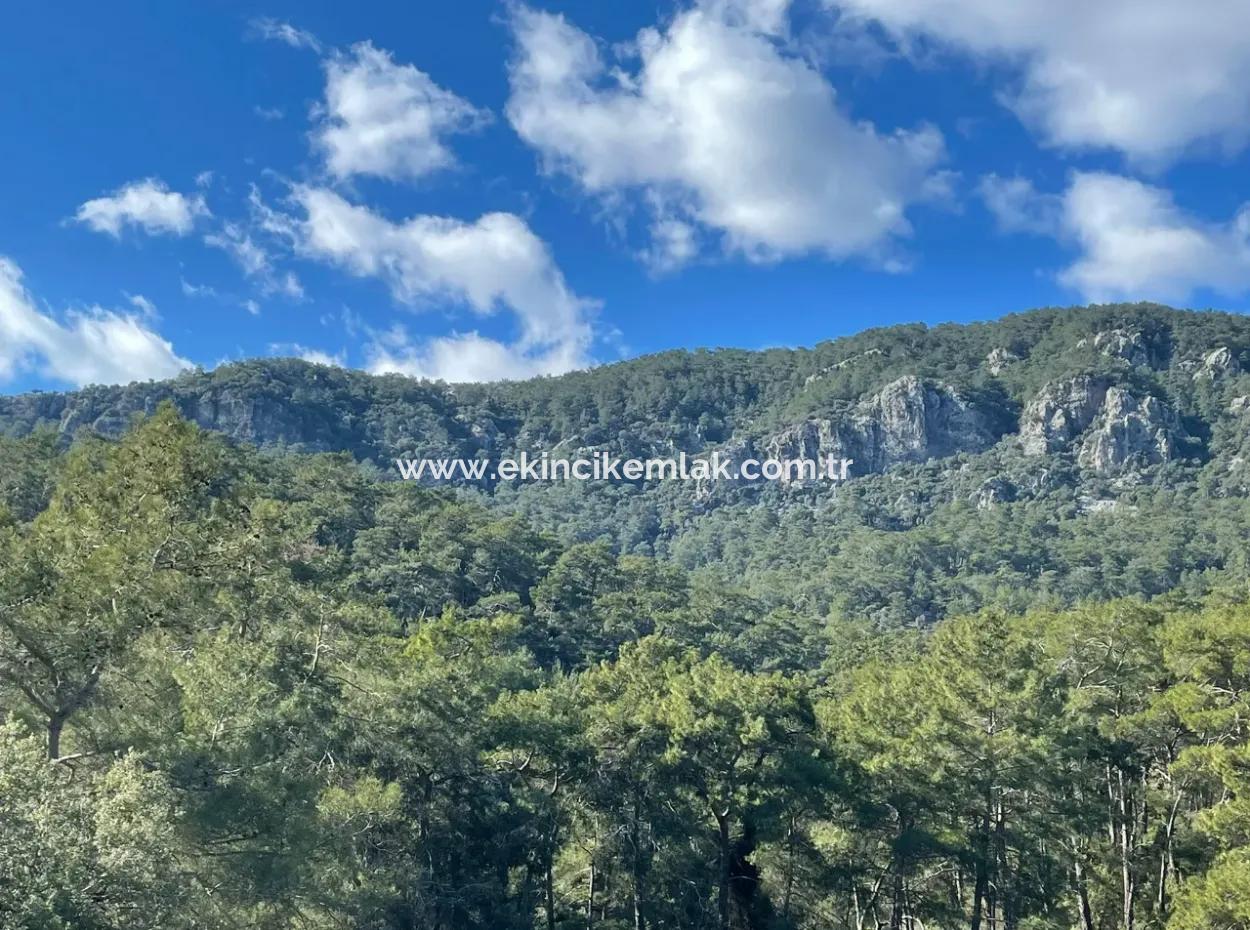 4000M2  For Sale With Lake View In Çandir