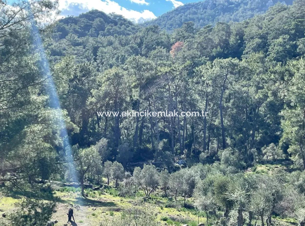 4000M2  For Sale With Lake View In Çandir