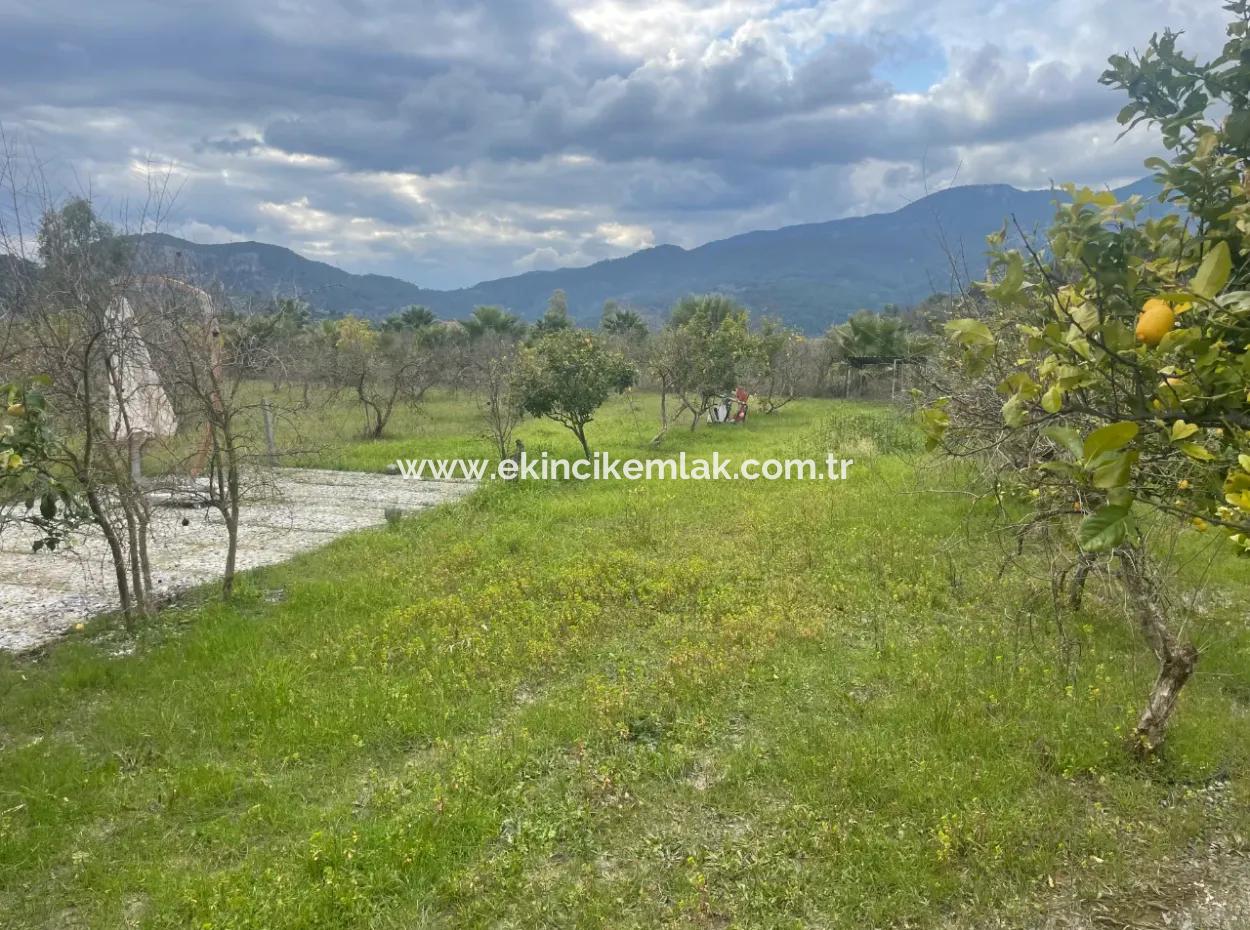 Dalyan Boutique Hotel For Sale Bungolevler For Sale In 11.000M2 Plot