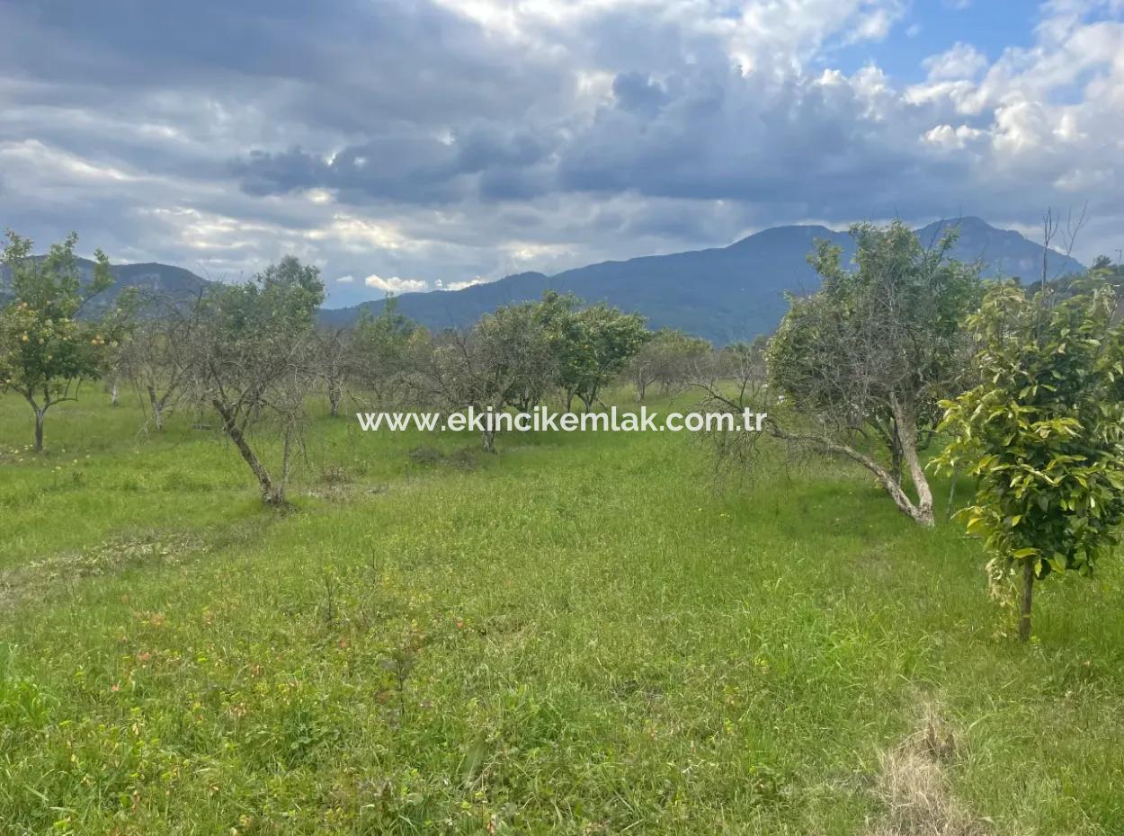 Dalyan Boutique Hotel For Sale Bungolevler For Sale In 11.000M2 Plot