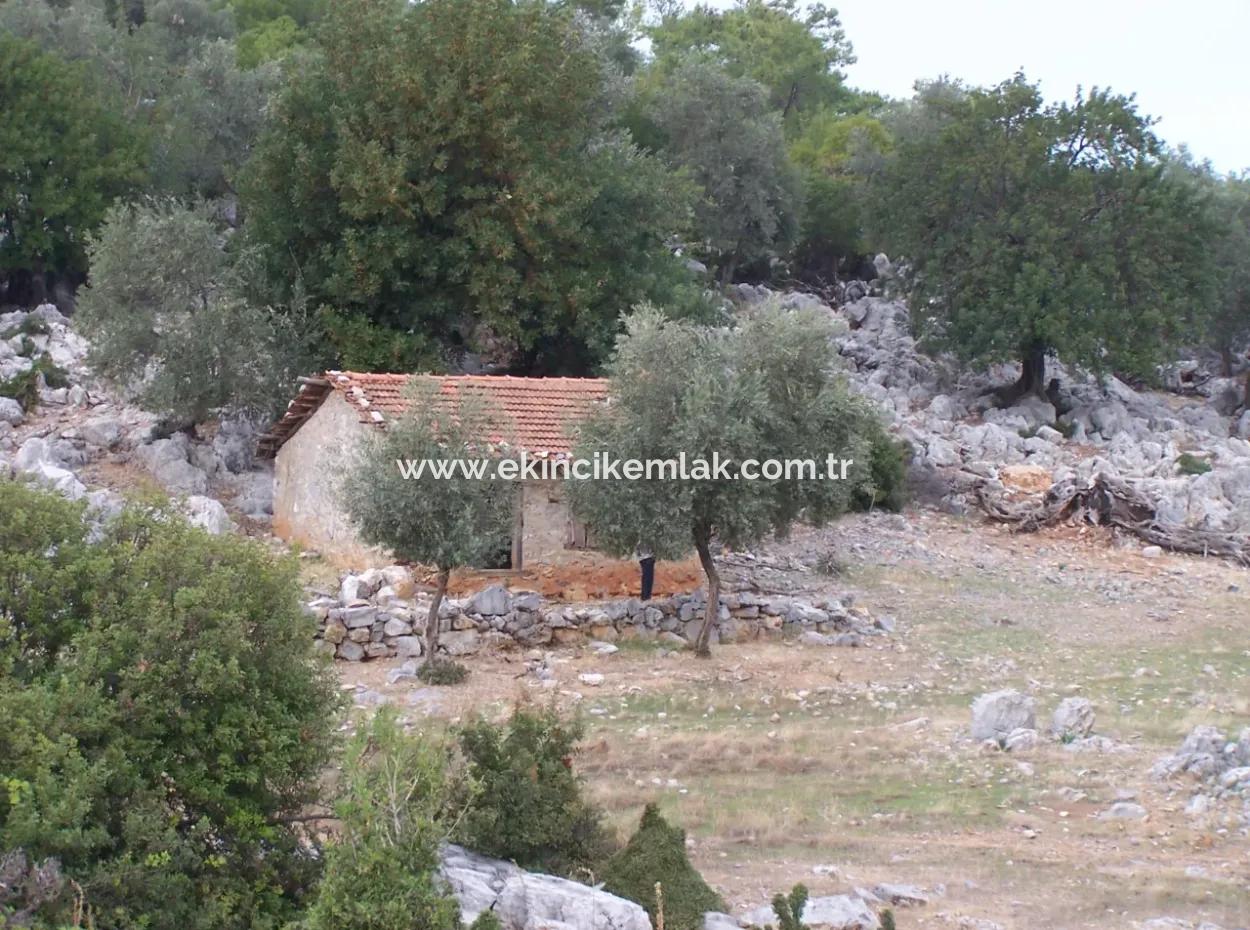 House For Sale In Sarsalada Sea View 4274M2 Plot
