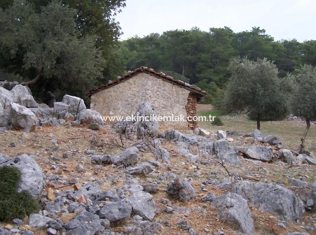 House For Sale In Sarsalada Sea View 4274M2 Plot