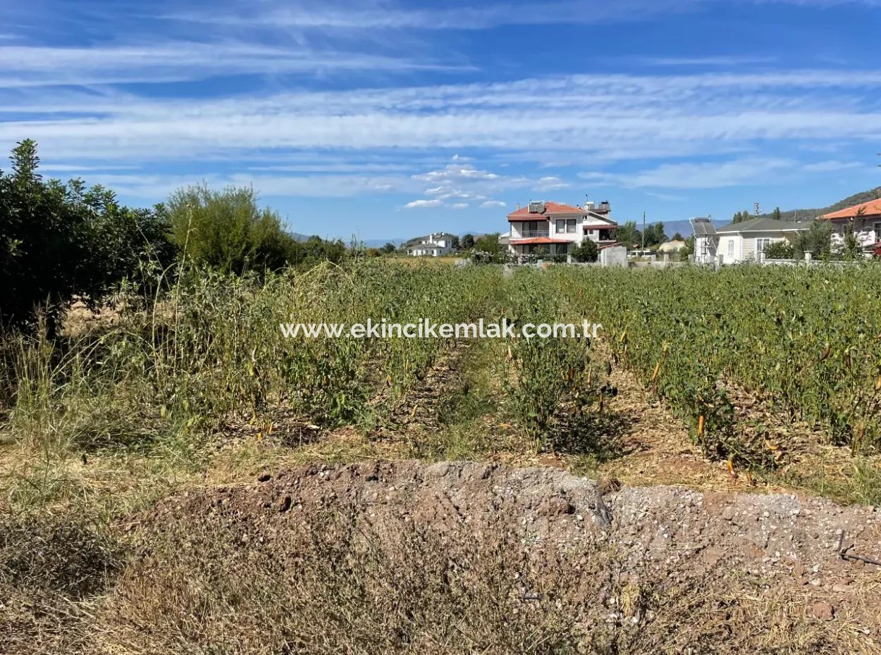 506 504M2 Side By Side 1010M2 Land For Sale In Archers