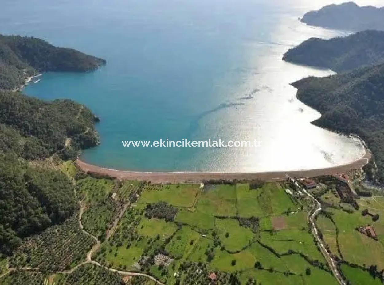 3250M2 Land For Sale In Ekincik With A View Near The Sea