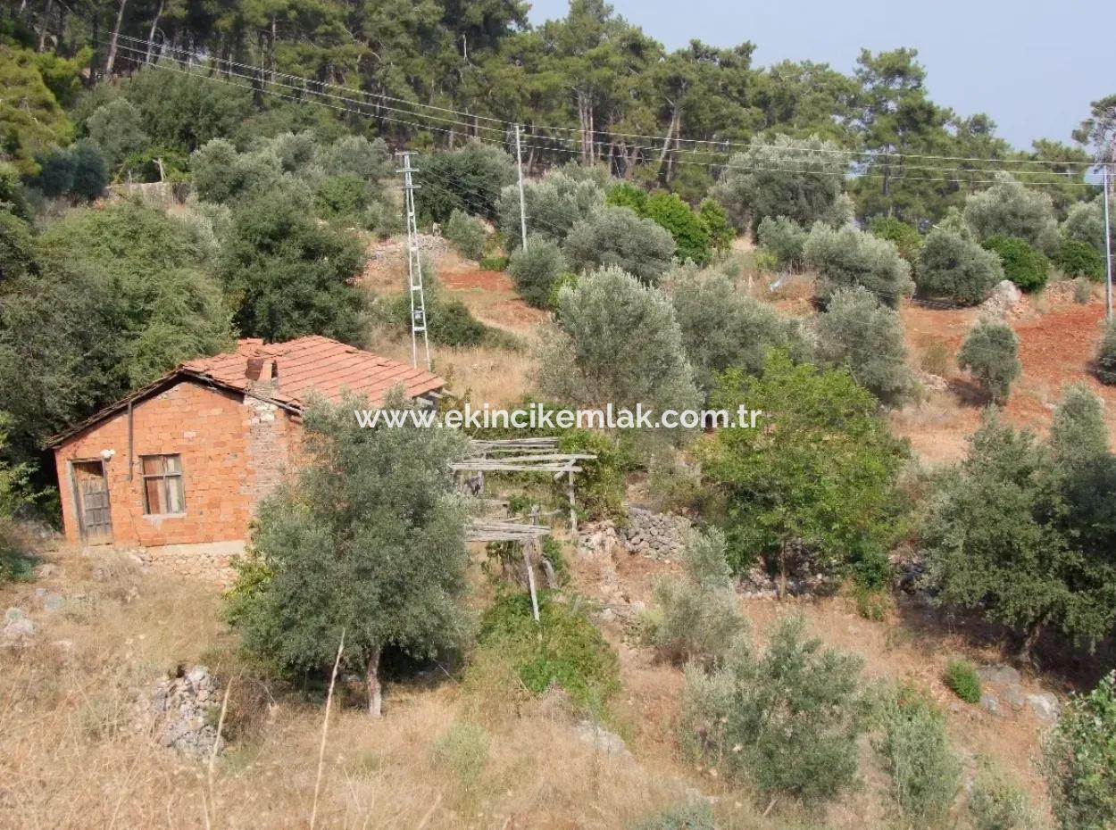 5000M2 Plot Of Land For Sale In Akyaka With Full Sea View House For Sale Kentucky