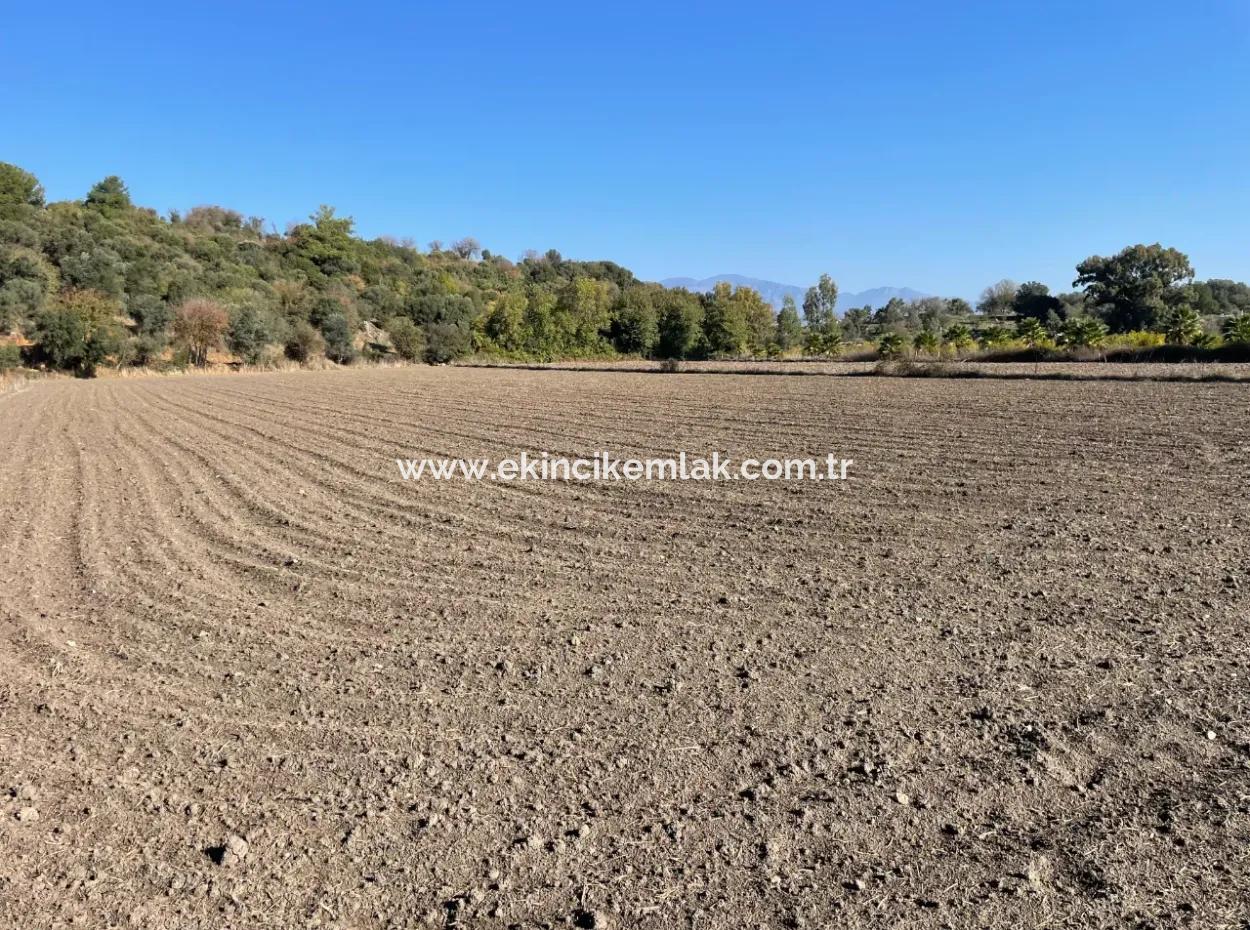 6254M2 Field For Sale Near Dalyan In Eskiköy