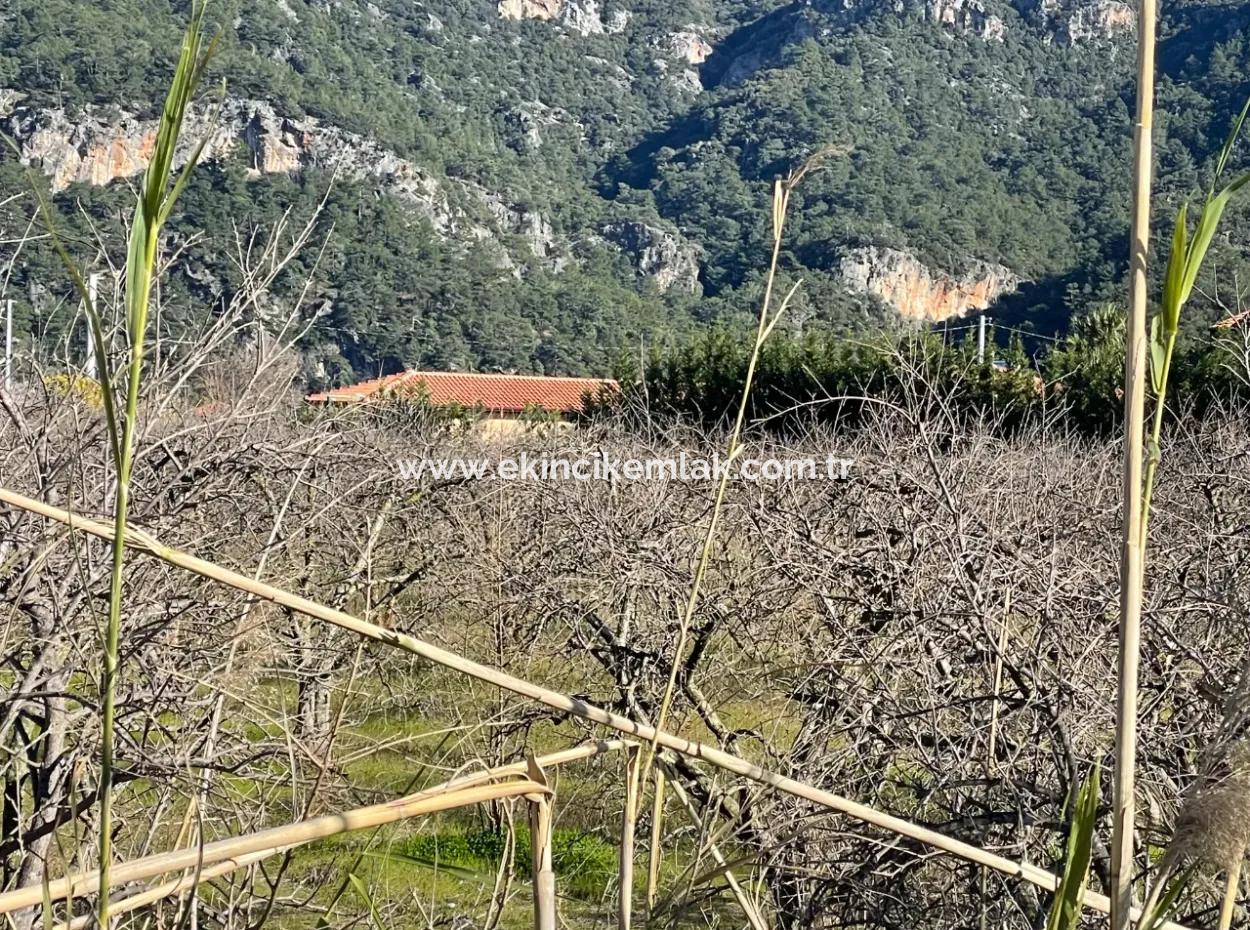 Dalyan Iztuzu Road Zero 5216M2 Field Plot For Sale