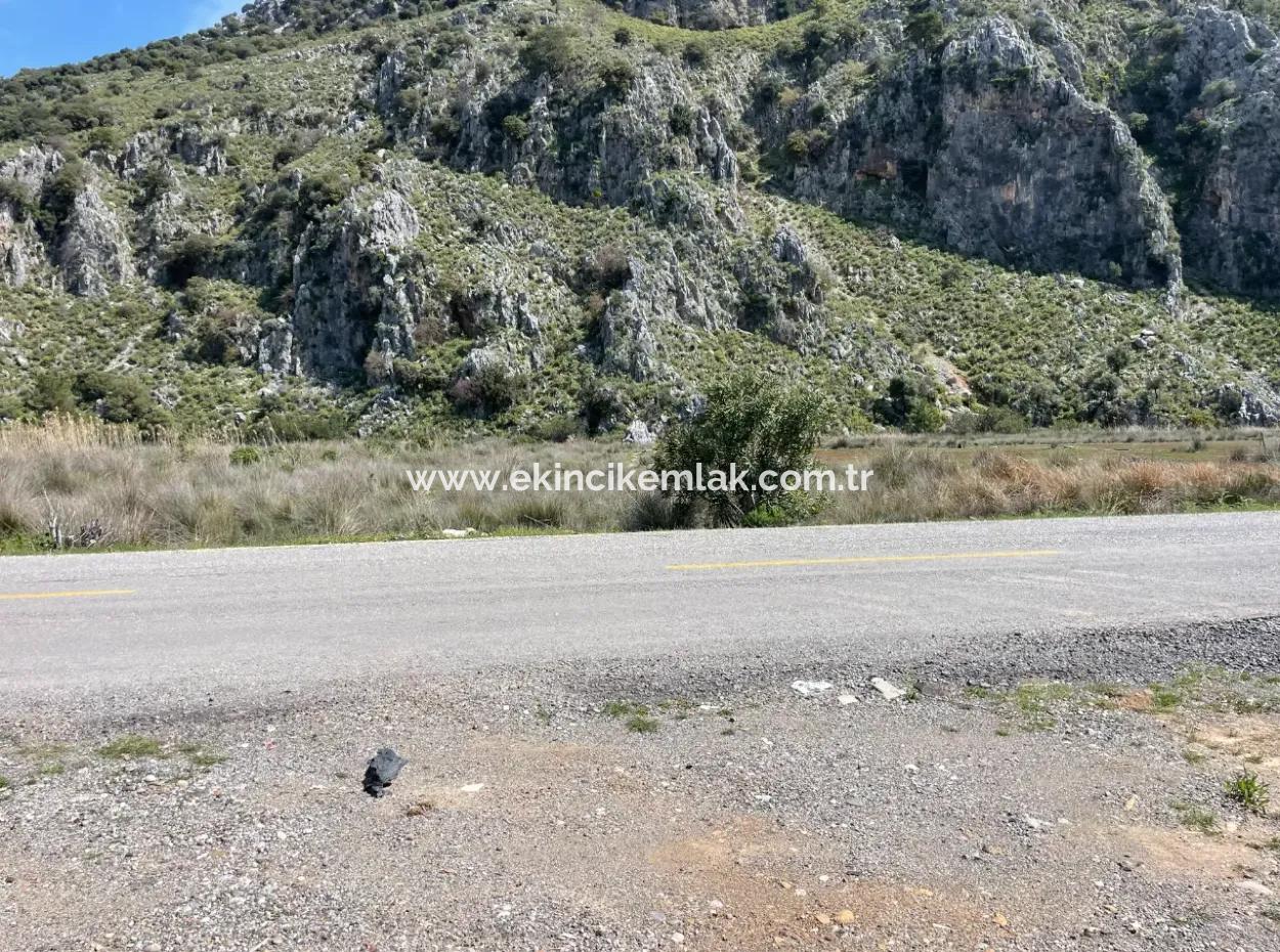 Dalyan Iztuzu Beach Road Zero 19,600M2 Field Land For Sale