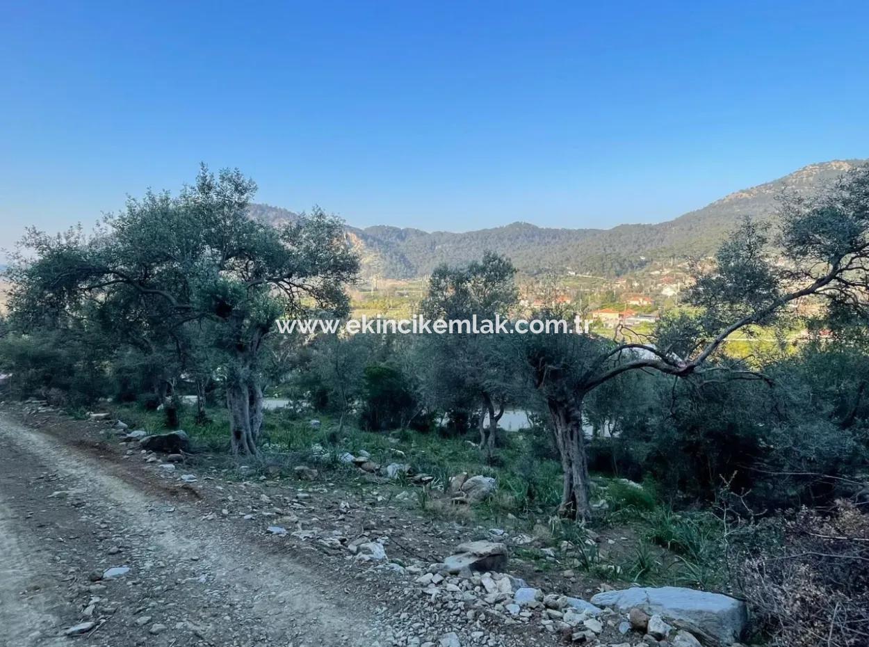 Çandır Lake Sea View 2,806M2 2B Field For Sale