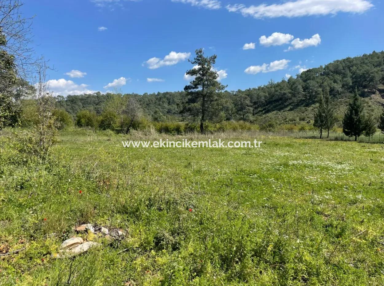 Village House For Sale In 5650M2 Field In Zeytinalann