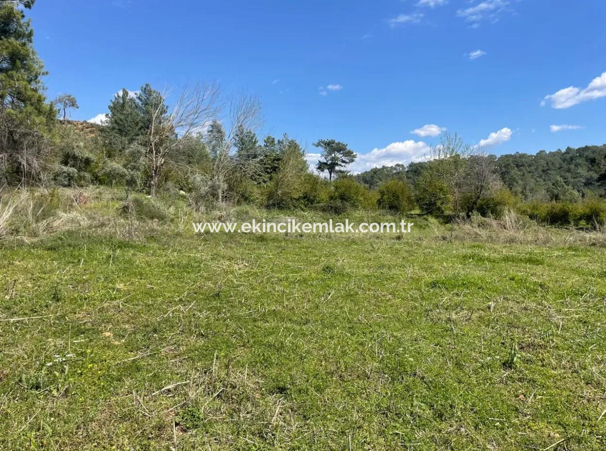 Village House For Sale In 5650M2 Field In Zeytinalann