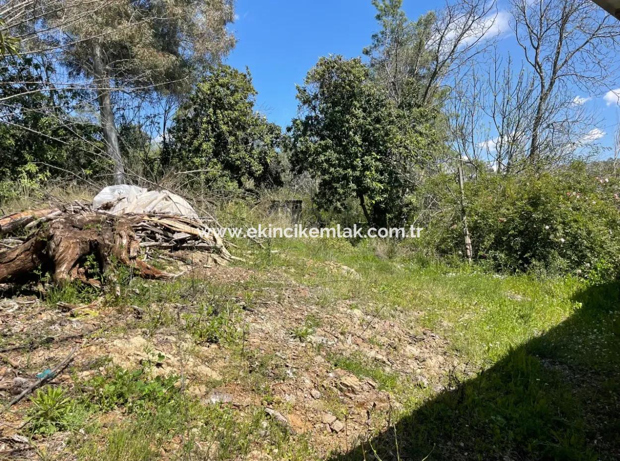 Village House For Sale In 5650M2 Field In Zeytinalann