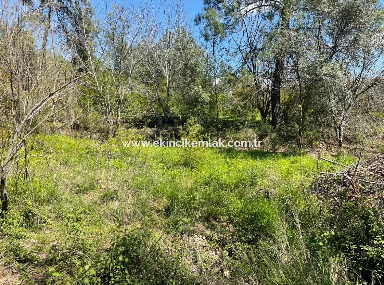 Village House For Sale In 5650M2 Field In Zeytinalann