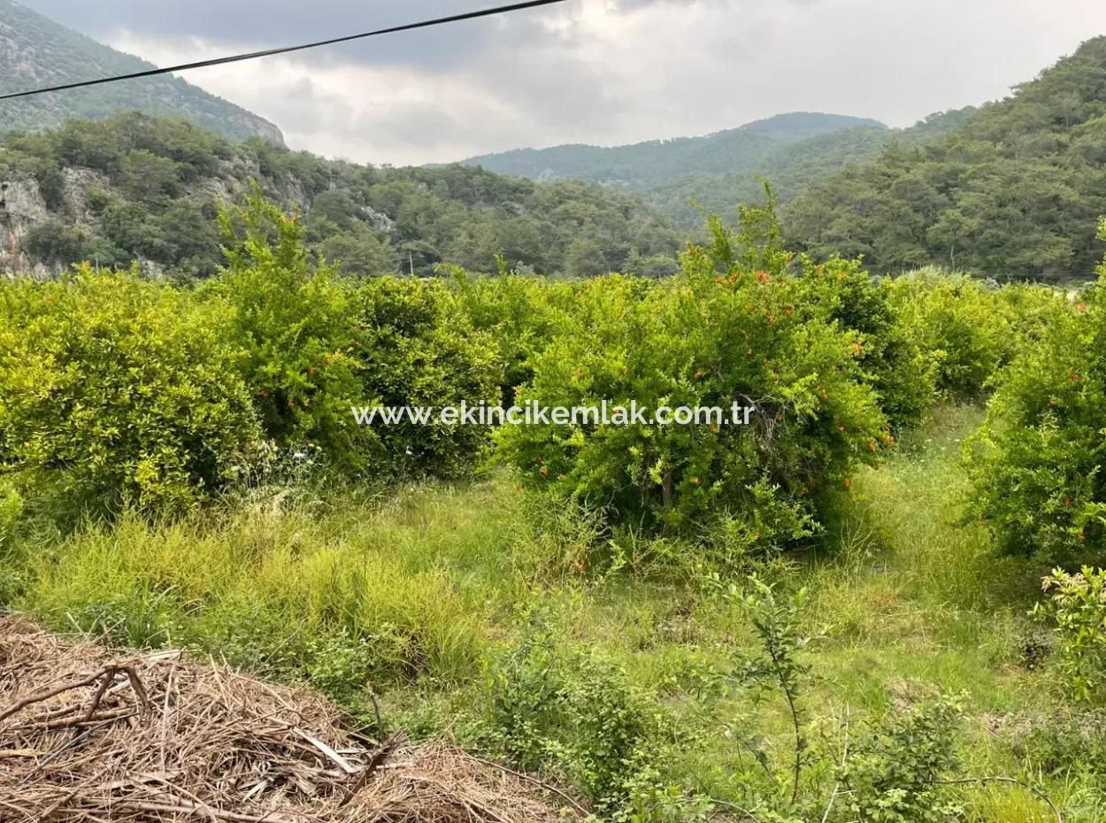 Gökbelde 14,000M2 Field For Sale