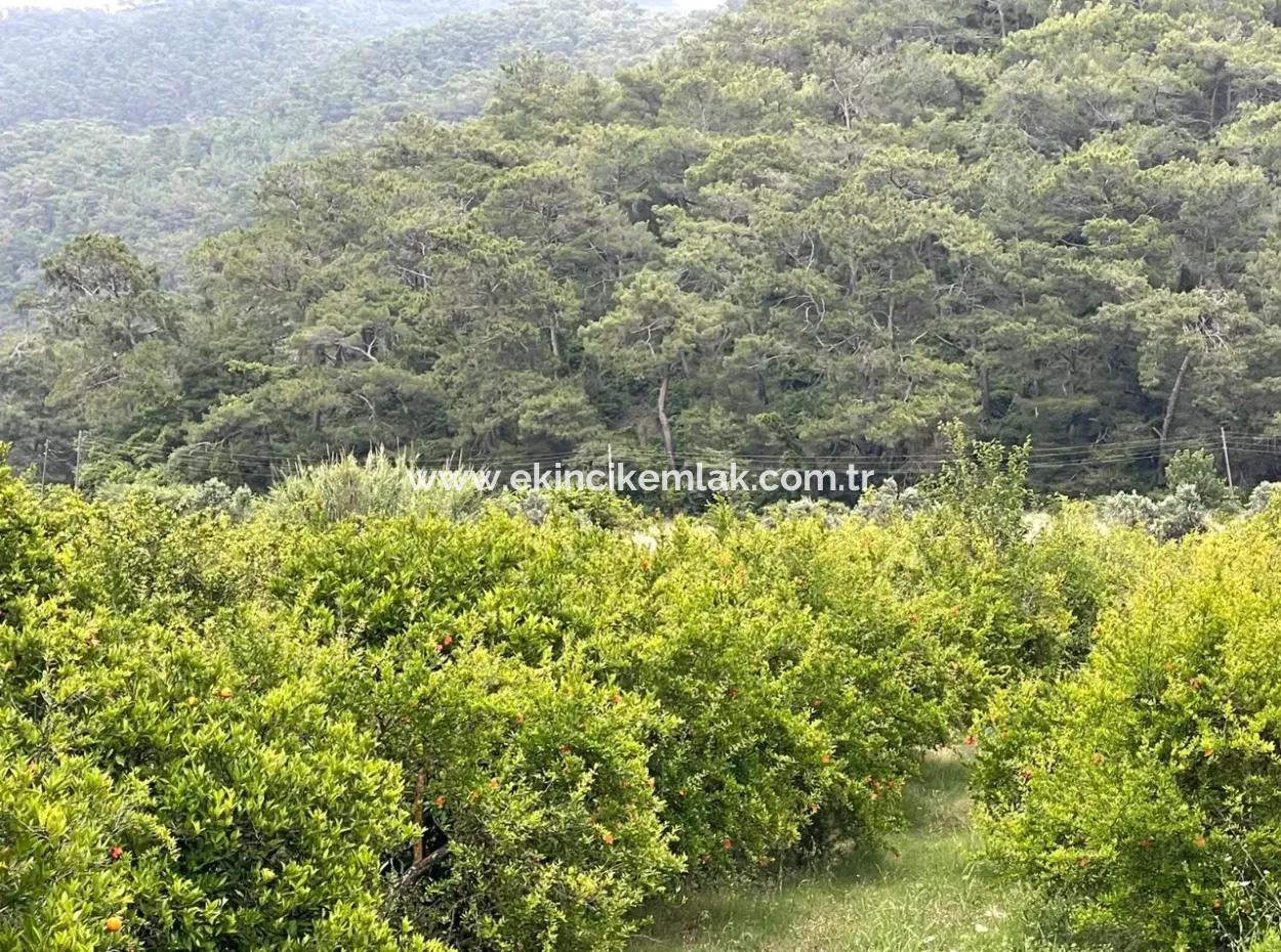 Gökbelde 14,000M2 Field For Sale