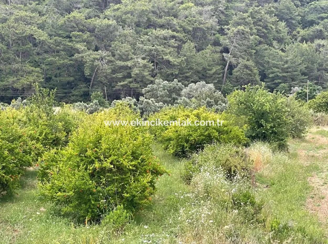 Gökbelde 14,000M2 Field For Sale