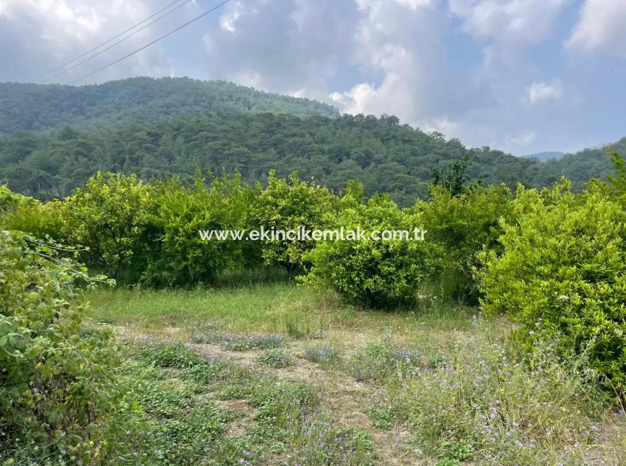 7800M2 Land For Sale At The Beginning Of Iztuzu Beach Road In Gökbel