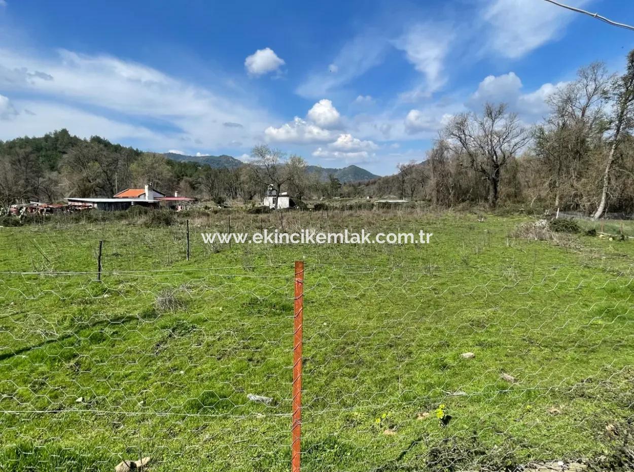 Sultaniye Büyükkaraç Mahallesin For Sale Field