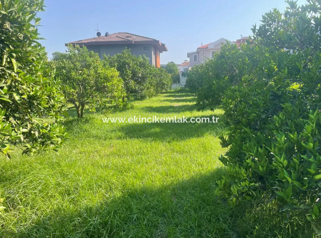 Land For Sale In Gulpinar, Dalyan 722M2