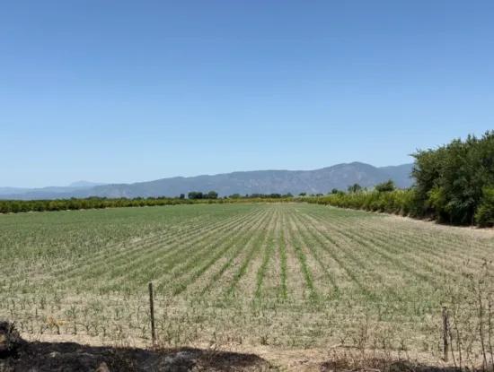 46,550M2 Land For Sale In Tepearası