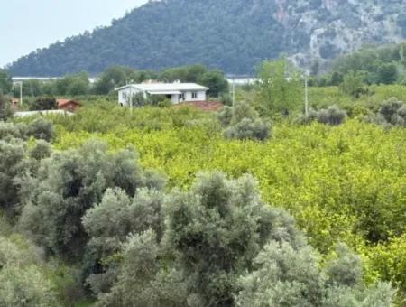 1,721M2 Land For Sale In Çandır Village With Sea And Lake Views