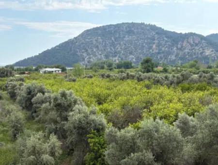 1,721M2 Land For Sale In Çandır Village With Sea And Lake Views