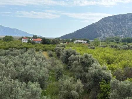 1,721M2 Land For Sale In Çandır Village With Sea And Lake Views