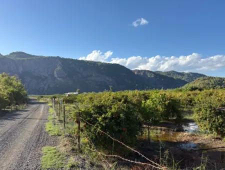 3900M2 Land For Sale In Ortaca Yeşilyurt